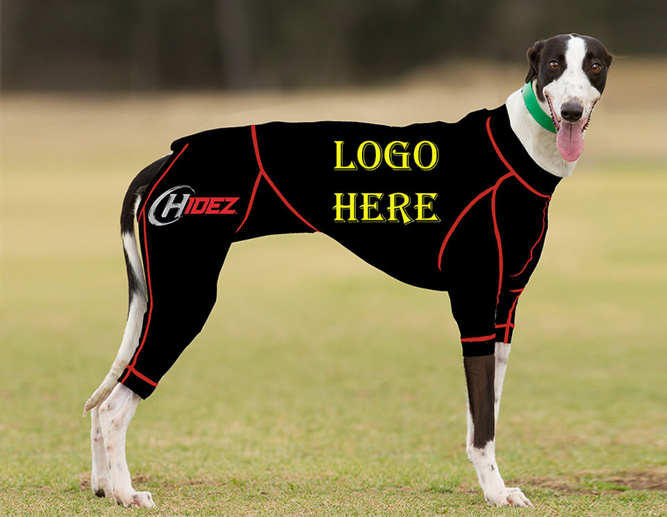 Greyhound gear outlet